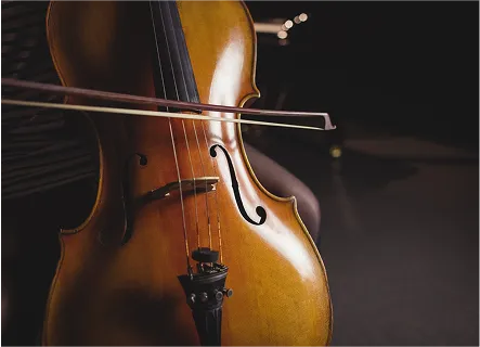 violin